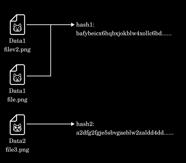 hashes